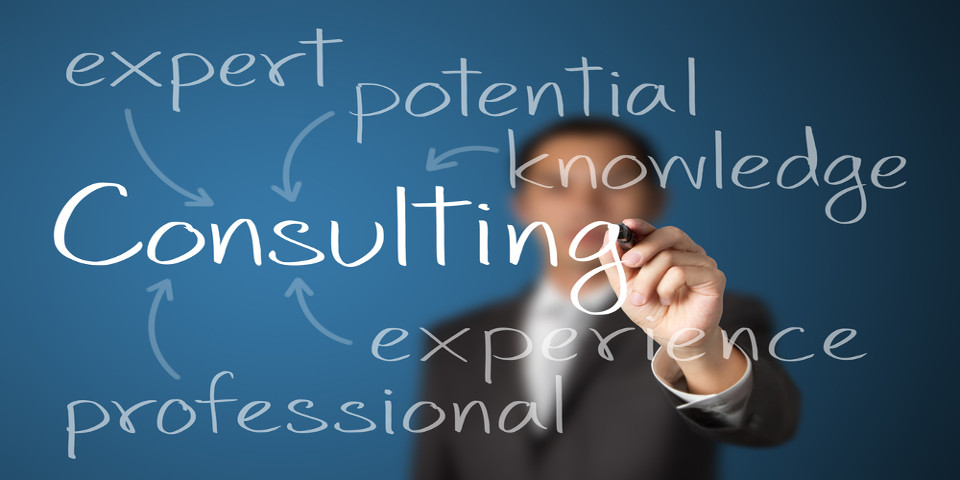 Expert software development knowledge